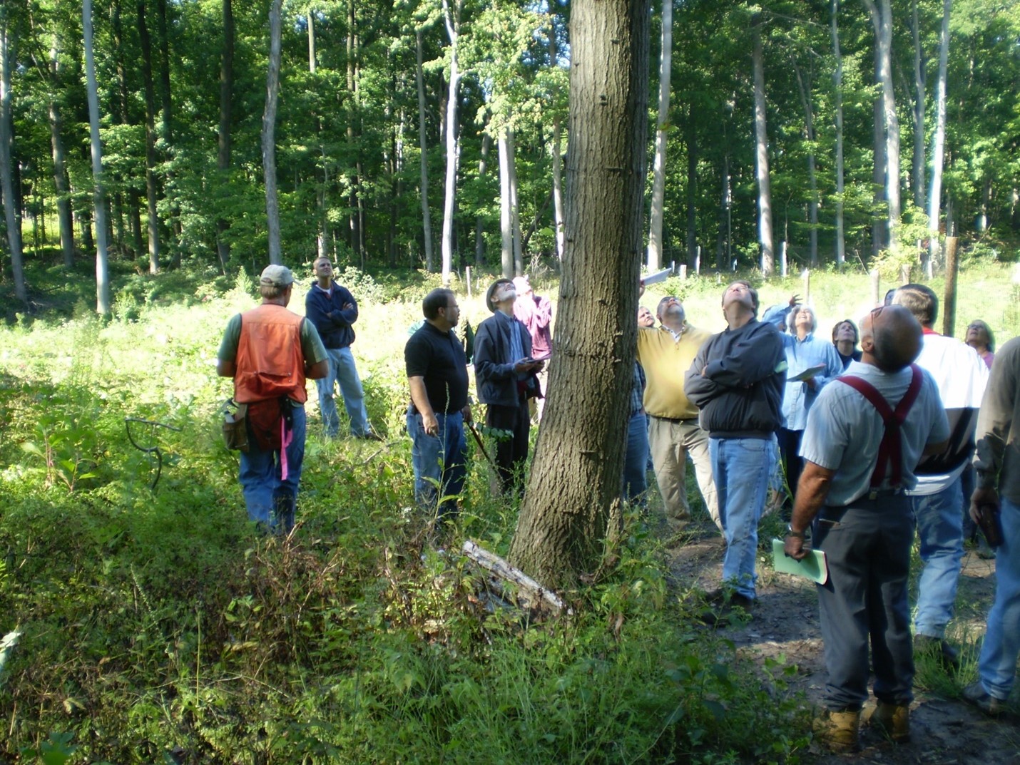 Forestry field day at Stephens Woodlands. Photo by Don Carlson.