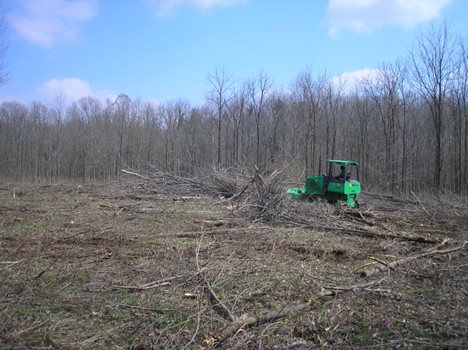 Site preparation for a demonstration tree planting. Photo by Don Carlson.