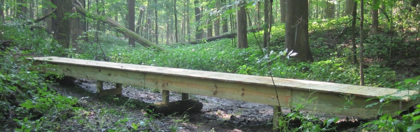 Walk bridge built in forest trail area, Stewart Woods.