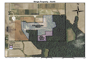 Throckmorton Meigs North view drawn landscape.