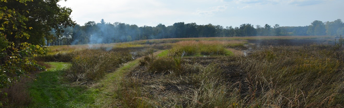 Purdue property Wildlife Area, grass with smoke from prescribed fire. 