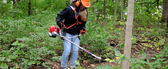 Brush Saw Training, student working with invasives in forest.