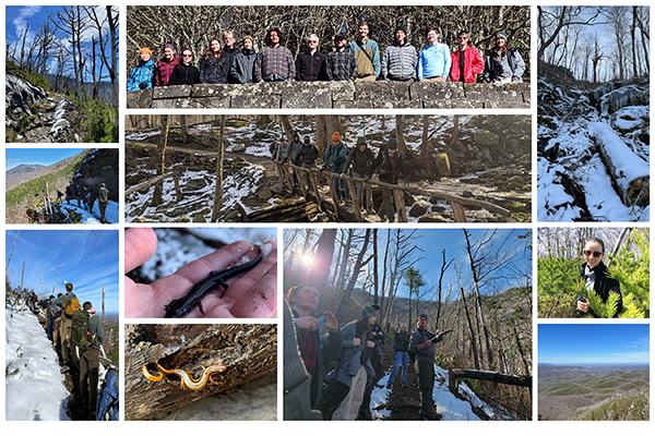 Smoky mountains day 1 collage