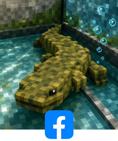 Hellbender Facebook