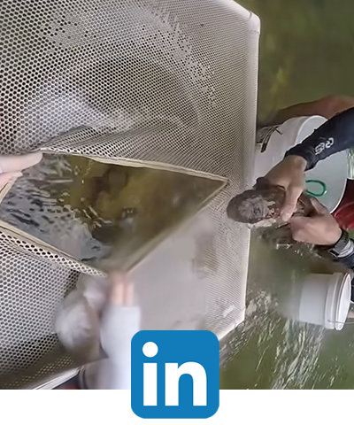 Linkedin image, hellbender release.