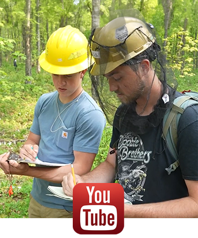 YouTube image, students in forest taking measurements.