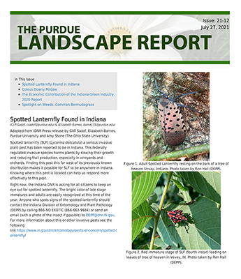Spotted Lanternfly Purdue Landscape Report Cover