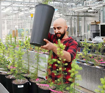 A researcher stands in front of a table full of tree seedlings. 