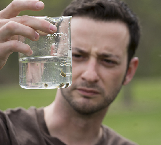 Student conducting ecosystem health check by studying the water, holding glass cup with tadpoles.