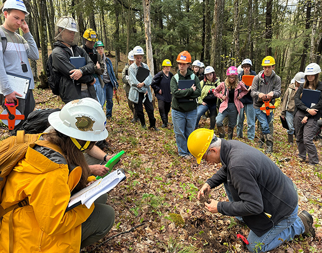 Students at forestry classes for summer practicum with instructor.