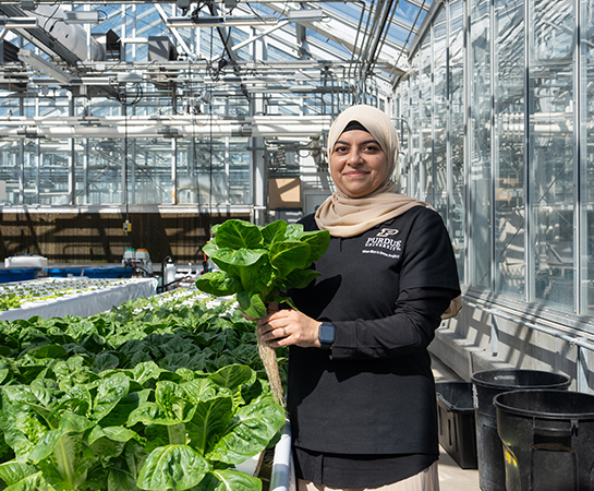 Aya Hussain, postdoctoral scientist, holding lettuce grown through aquaponics process.