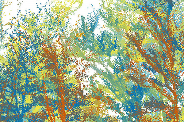 Data-driven forest visualization from PERSEUS showing trees as colored point clusters, illustrating how AI and remote sensing generate detailed spatial data for modeling forest conditions and ecosystem services.
