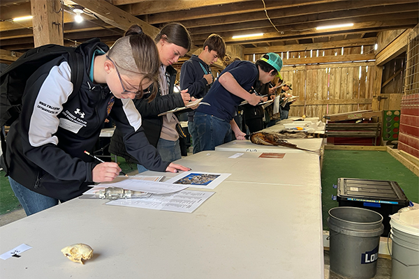 Students at wildlife competition viewing animal taxidermy and skulls.