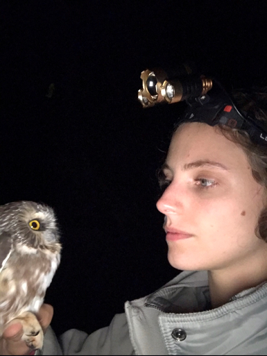Helen Nesius with Northern Saw Whet Owl