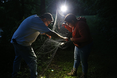 Pat Zollner helps a student with a bat mist net