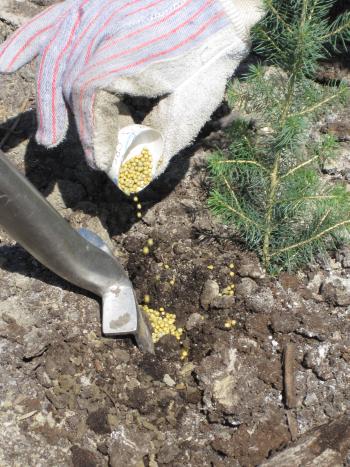 hand-pouring-fertilizer