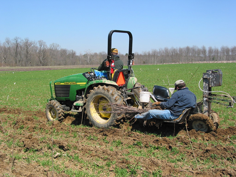 Planting tractor with driver and staff on seeding equipment.