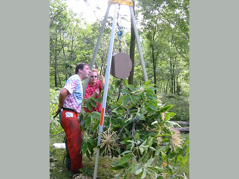Two staff working with measuring equipment for biomass analysis of Castanea dentata.