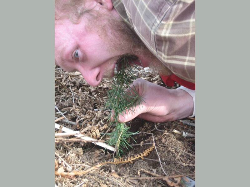 Graduate student Joshua Sloan is hungry and has mouth on  young seedling in the ground.
