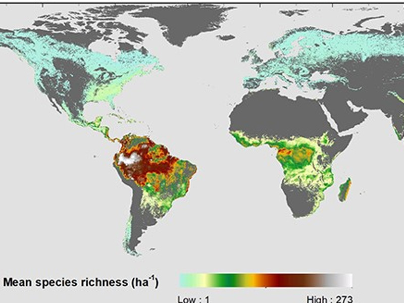 Species richness shown by colors on global map.