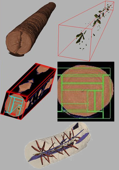 scans of logs