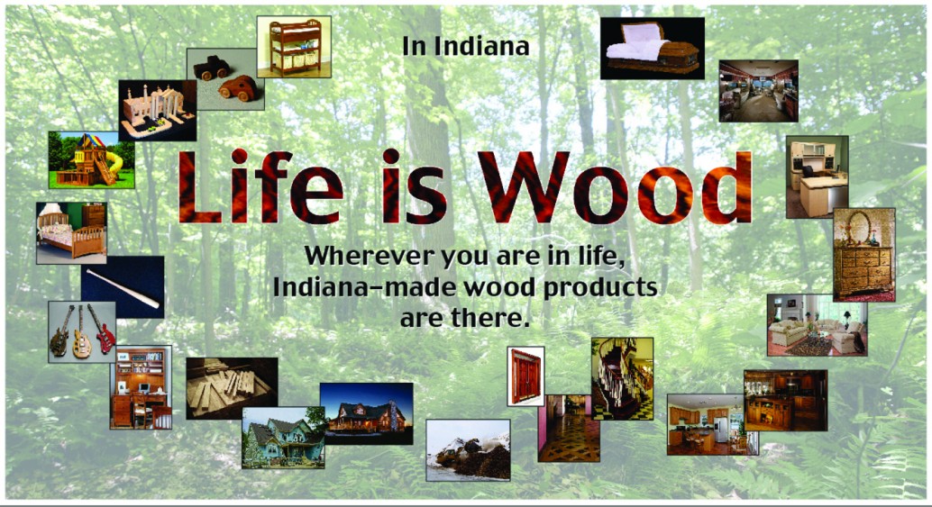 Info graphic showing Life is Wood title and smaller images of completed wood projects.