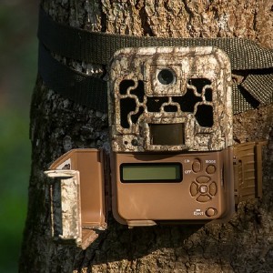 trail camera attached to a tree