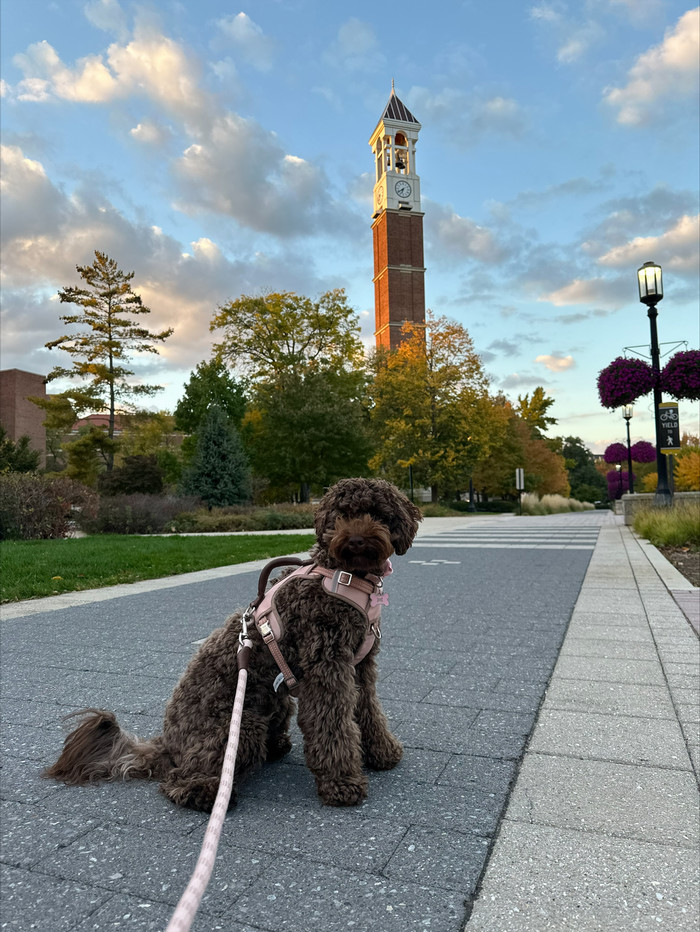Barbara's dog on Purdue's campus