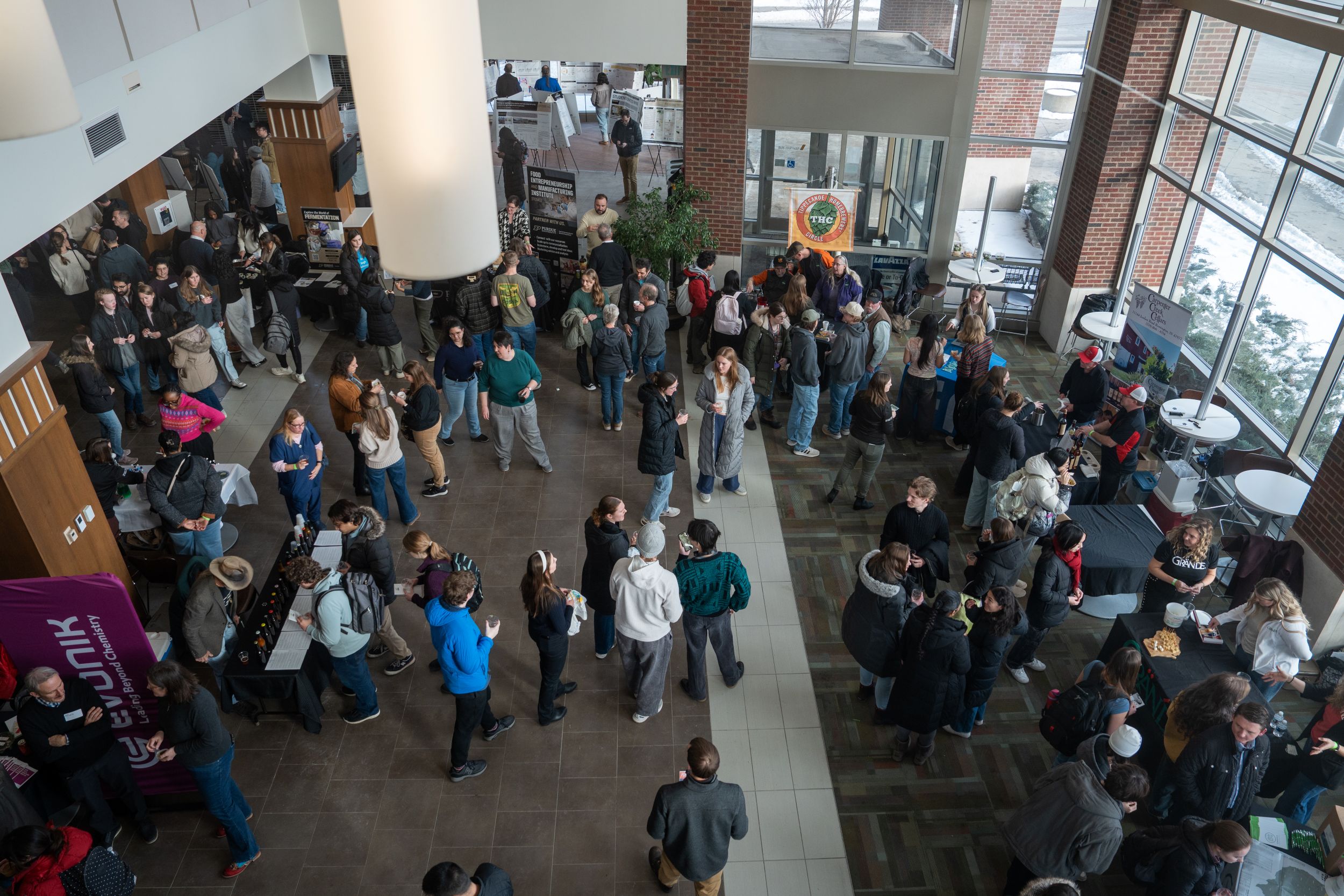 Overhead view of fermentation frenzy