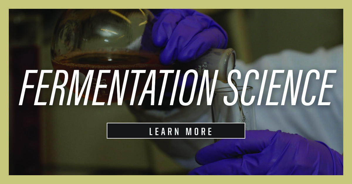 Click to learn more about the Fermentation Science Major