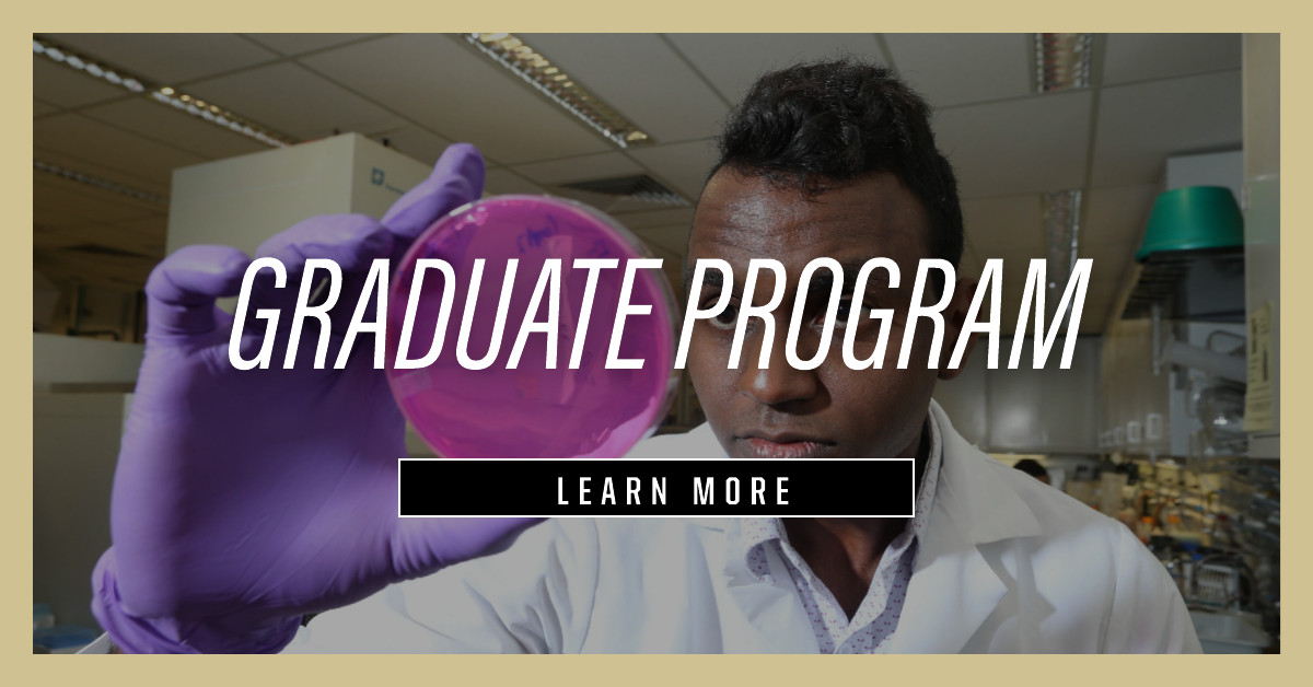 Learn more about the food science graduate program