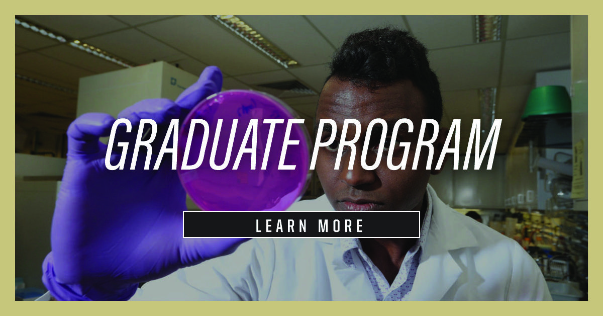 Learn more about the food science graduate program