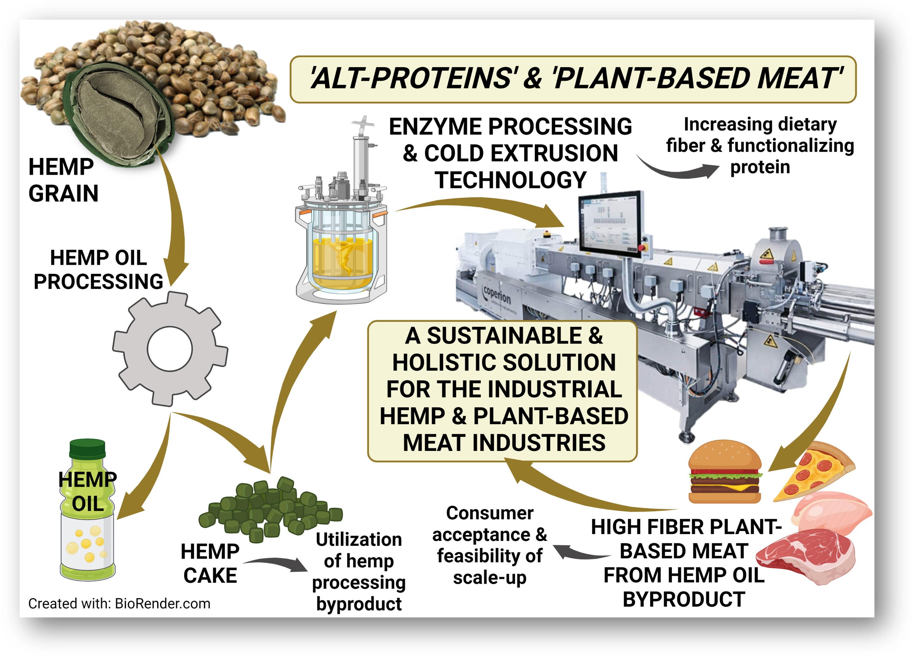 Hemp in alternative proteins