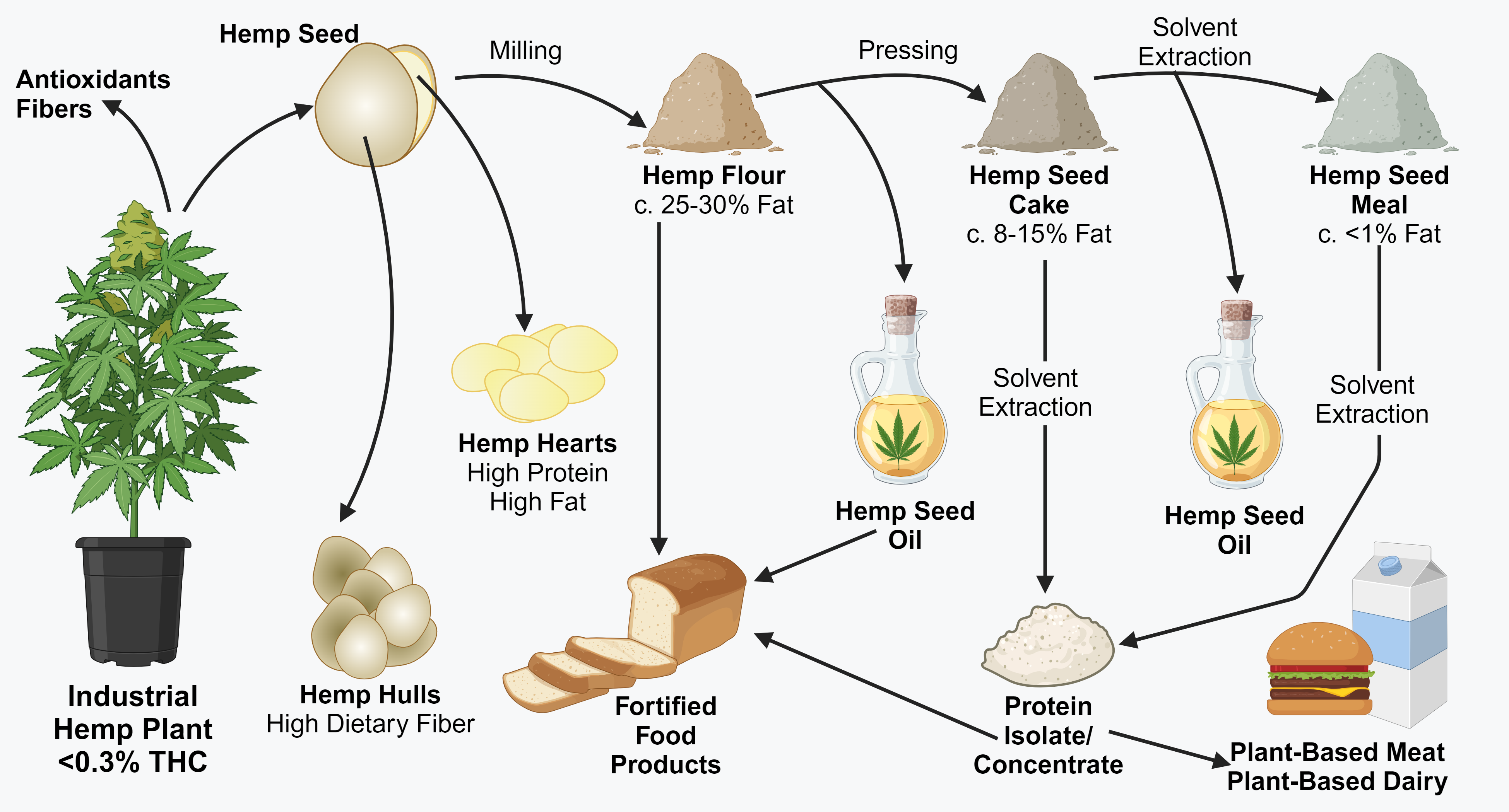 Processing employed to generate the main types of hemp seed-based food ingredients