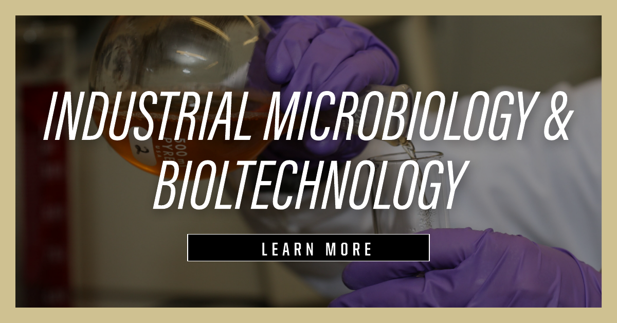 Click to learn more about the IMB Major