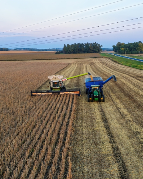 soybean-harvest.jpg