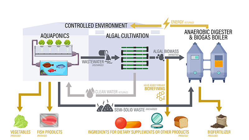 Integrated Aquaponics System