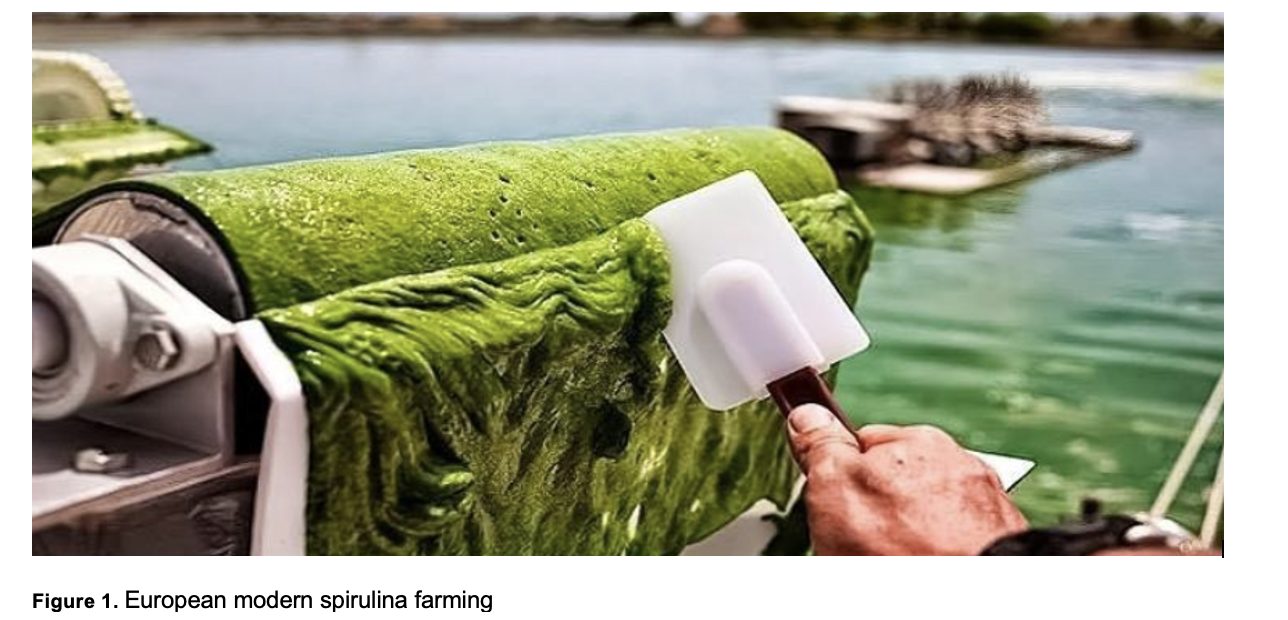 european spirulina farming