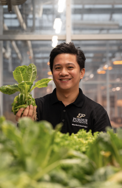 person in greenhouse holding lettuce