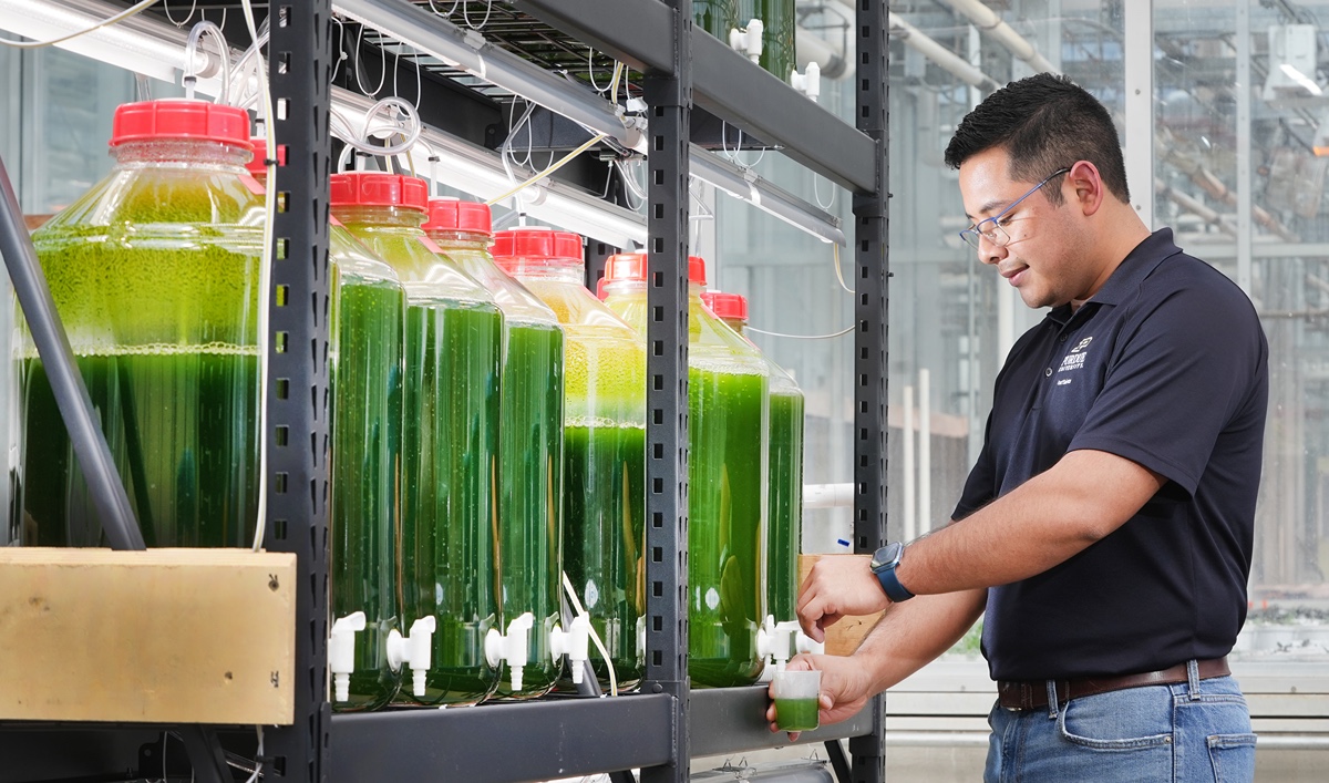 Juan Velasquez taking algal samples