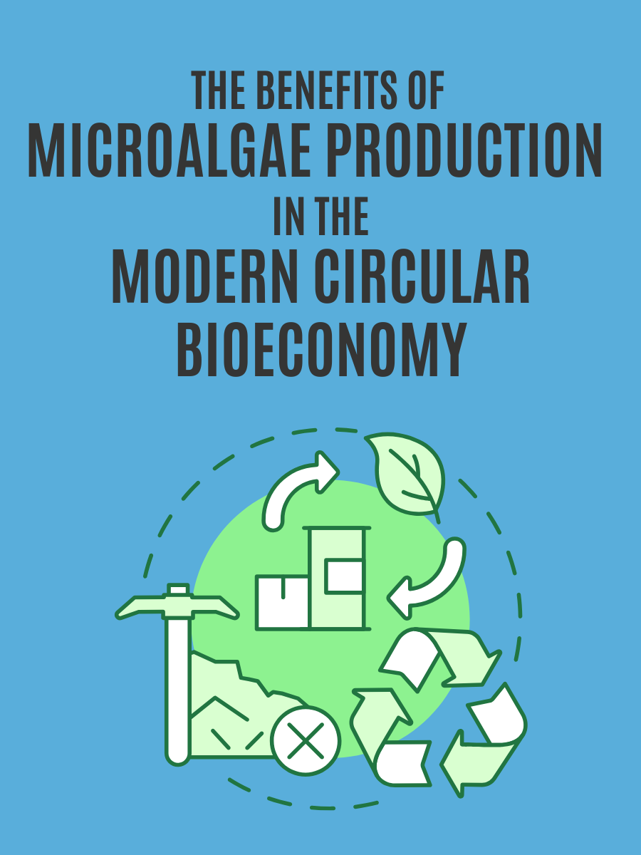circular bioeconomy model on blue book cover