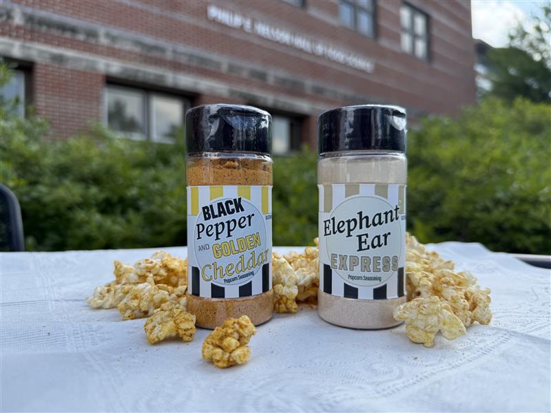FEMI Popcorn Seasoning