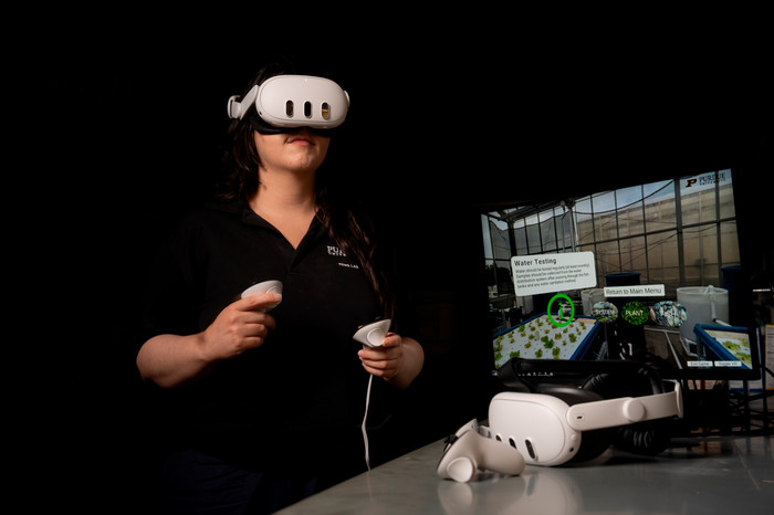 person wearing VR headsets