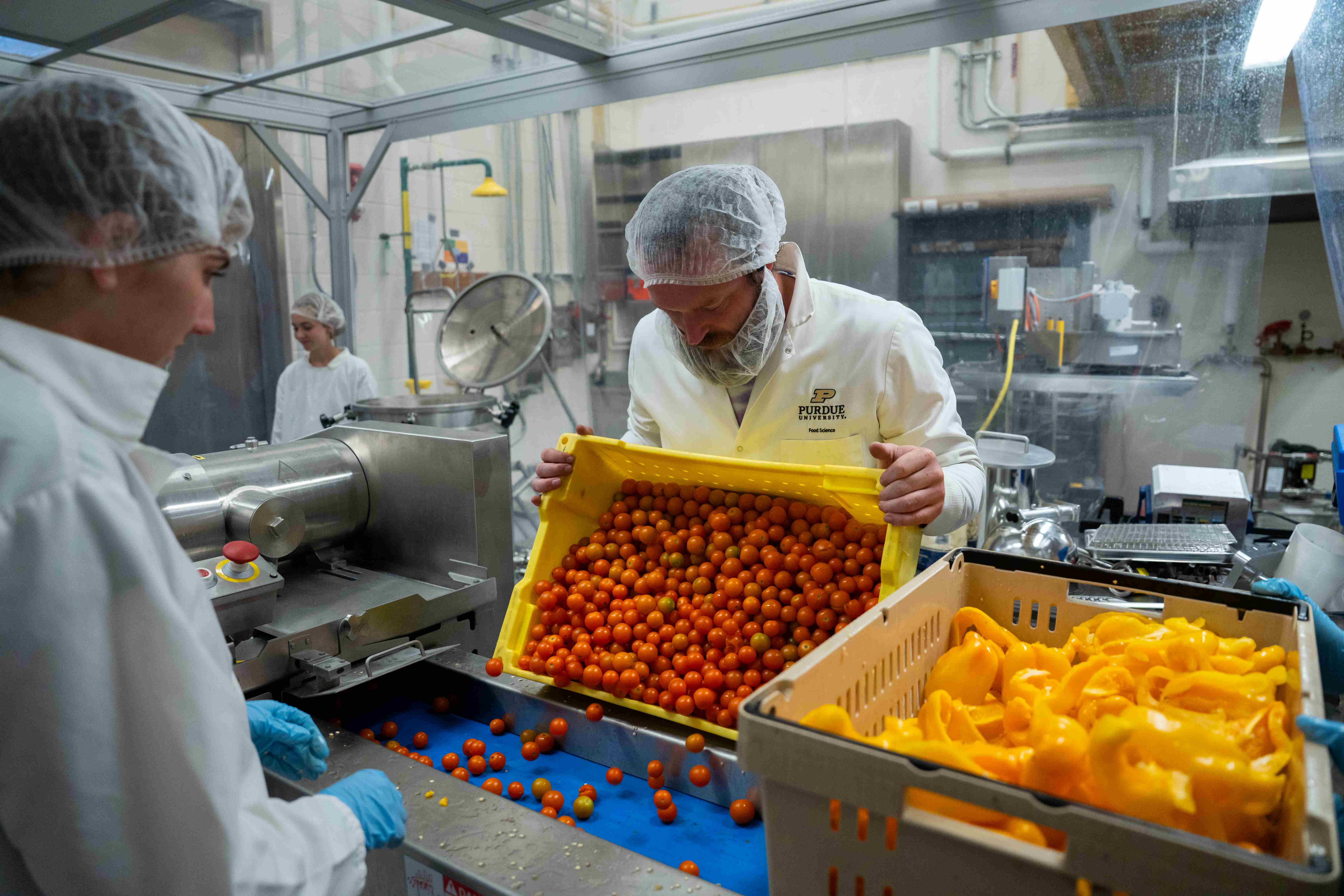 Two researchers evaluating produce in pilot plant.