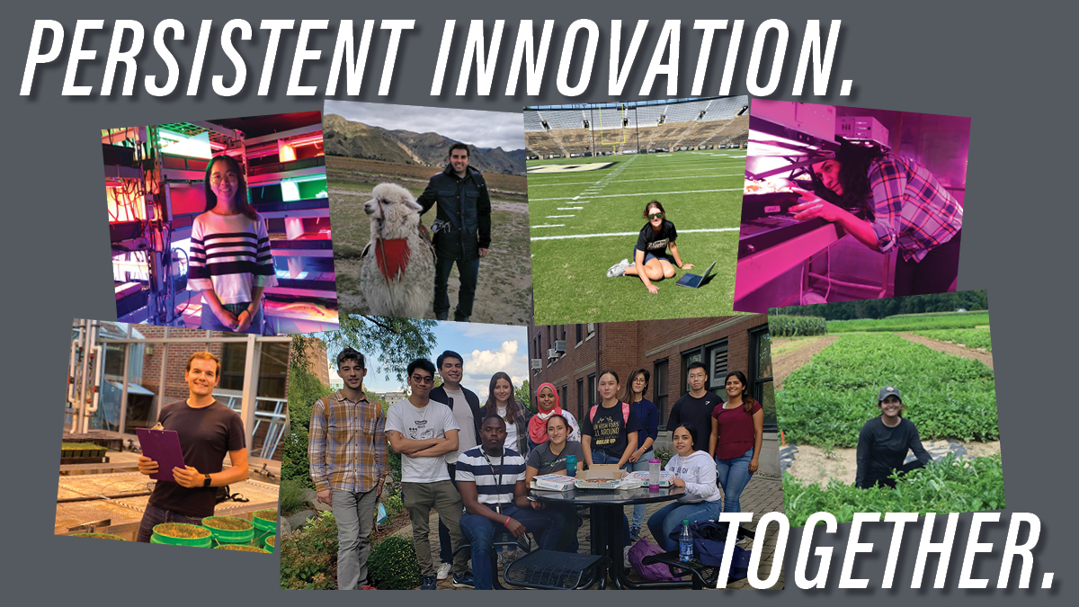 Persistent Innovation. Together