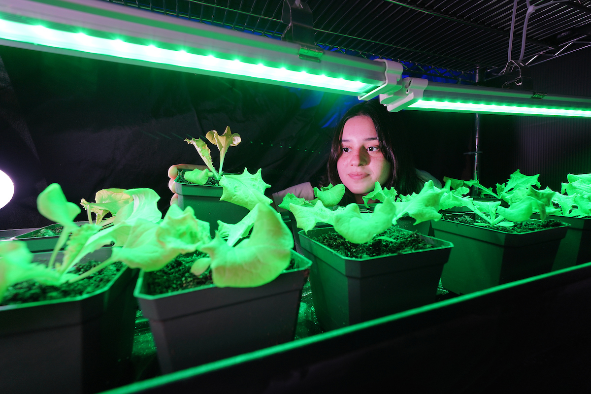 Student observing plants under LED lighting.