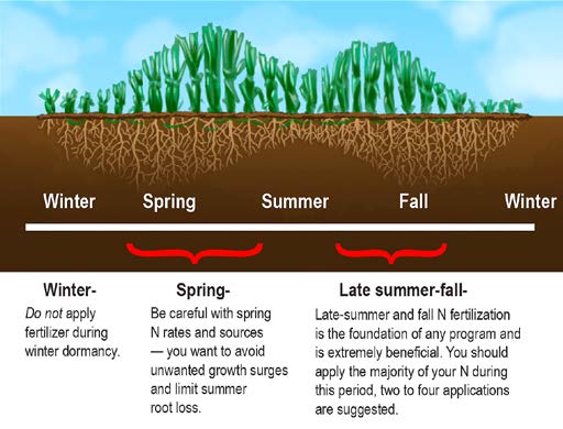Diagram illustrating seasonal turf growth and fertilization timing from winter through fall, including recommended nitrogen application periods.