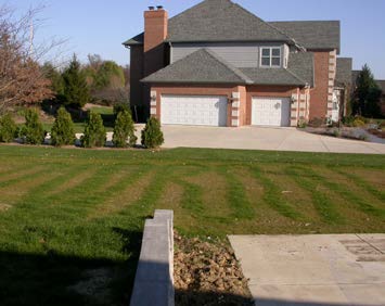 Suburban home lawn with visible mowing stripes and uneven turf growth in the foreground.