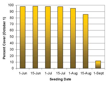Bar chart showing percent turf cover versus seeding date, with highest coverage from June–July plantings and a sharp decline for late August and September seeding.