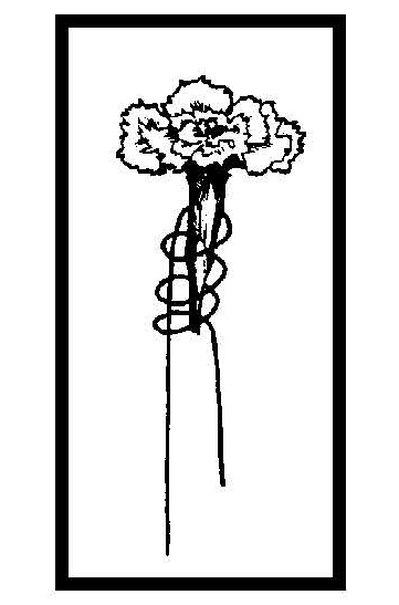 Black-and-white diagram showing a flower head attached to a wire stem wrapped in a spiral for support.